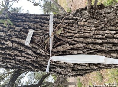 8633 Barn Owl, San Antonio, TX 78255 - photo 6