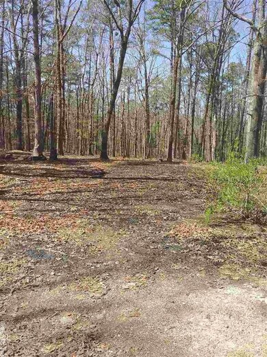 1014 Highway 298, Jessieville, AR 71949 - photo 3