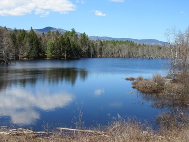 0 Fernalds Hill Way, Stow, ME 04037 - photo 6