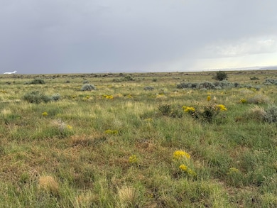 Lot 389 Rancho Rio Grande, Belen, NM 87002 - photo 3