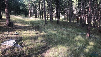 TBD Wind Dance Rd unit TBD Wind Dance Ranch, Custer, SD 57730 - photo 7