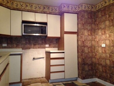 10031 Agatite Ave, Schiller Park, IL 60176 - photo 3