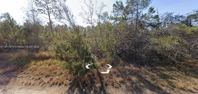 3292 Gossamer Ave, Lake Placid, FL 33852 - photo 5