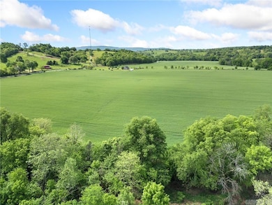 TBD Highway 412 & Wpa Rd, Alpena, AR 72611 - photo 3