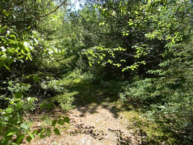 0 Stone Dr, Stark, NH 03582 - photo 6