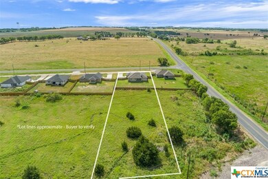 8908 Fm 1237, Troy, TX 76579 - photo 2