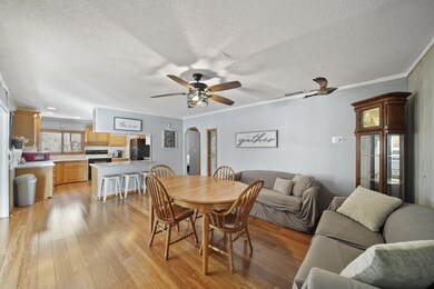 318 Cedar St, Brooklyn, MI 49230 - photo 5