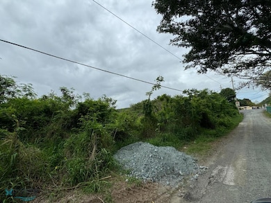 00637 Road Pr #368 Bo MacHuchal Sabana Grande, Sabana Grande, PR 00637 - photo 6