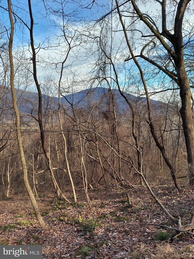 0 Old Ski Lodge Ln unit VARP107716, Washington, VA 22747 - photo 2