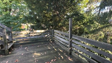 500 Centre St unit 2, Newton, MA 02458 - photo 4