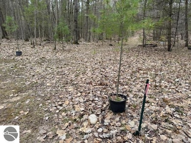 VL W Gaukel Rd, Forest Township, MI 49651 - photo 5