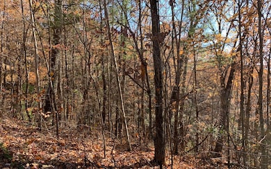 Additional View