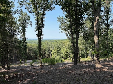 102 Long View Ct, Pickens, SC 29671 - photo 5