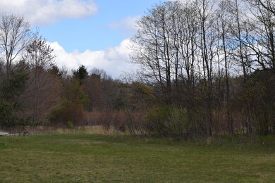 DSC_0035