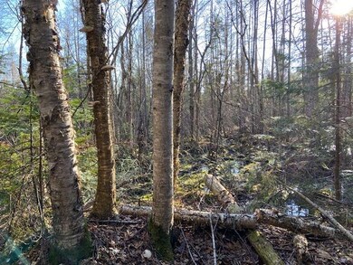 ON Hwy 86, Tomahawk, WI 54487 - photo 2