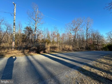 0 Woodland Dr unit VAPA2003168, Luray, VA 22835 - photo 4