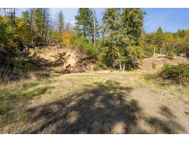 0 Sardine Cr Rd unit 495503255, Goldhill, OR 97525 - photo 4