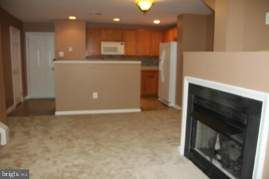 24751 Stone Station Terrace unit 24751, Stone Ridge, VA 20105 - photo 5