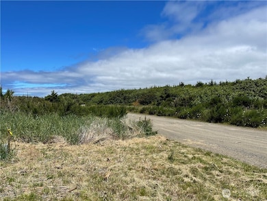 72 Dunes Ln, Ocean Shores, WA 98569 - photo 3