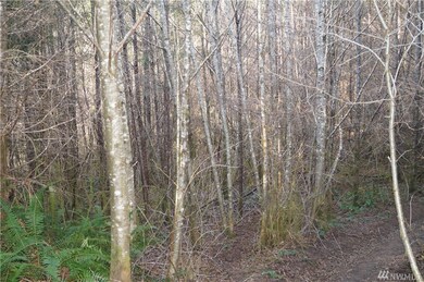 0 McGaughy Ridge Ln unit 1574341, Elma, WA 98541 - photo 5