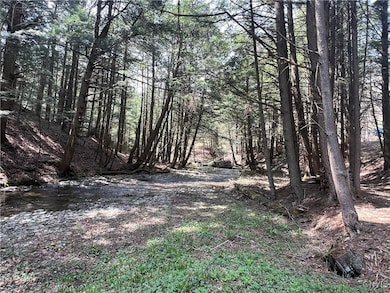 One of many views of the creek