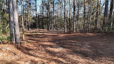 588 A Old Highway 26, Perkinston, MS 39573 - photo 3