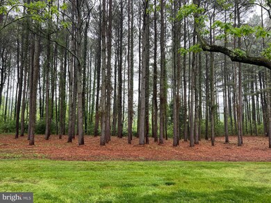 Lot A Catalpa Point Rd, Easton, MD 21601 - photo 4