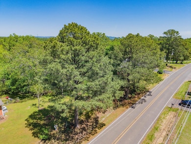 0 Marion Anderson Rd unit 25703820, Hot Springs, AR 71913 - photo 3