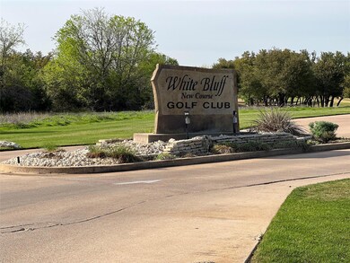 21041 Shady Oak Ct, Whitney, TX 76692 - photo 6