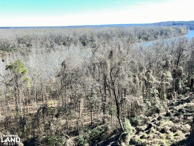 0 County Road 35 E, Lower Peach Tree, AL 36751 - photo 6