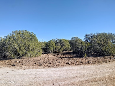 1841 Rocky Bottom Place, Show Low, AZ 85901 - photo 2