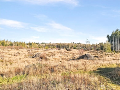 Looking East over the entire 140.8 acres