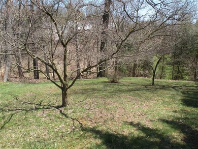 Rear Yard