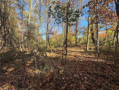 00 Day Dr, Hamptonville, NC 27020 - photo 5