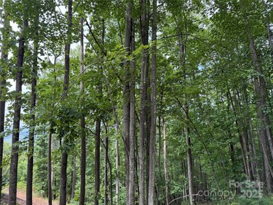 2.01 acres, Lot 971 Soaring Top Ln unit 971, Lenoir, NC 28645 - photo 6