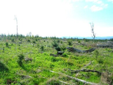 18372 Oregon 22 unit 1, Sheridan, OR 97378 - photo 3