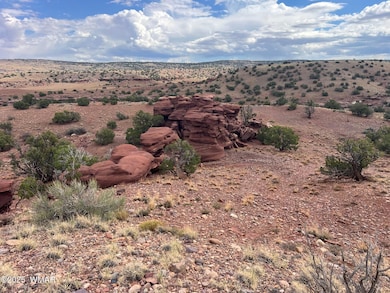 000 N5158, Concho, AZ 85924 - photo 6