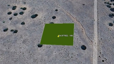 Apache unit AZ, Saint Johns, AZ 85936 - photo 5