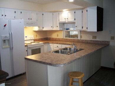 3507 Gingersnap Ln, Lansing, MI 48911 - photo 5