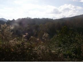 VIEW OF LOT