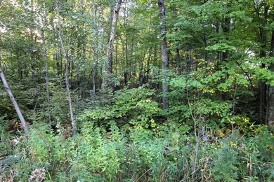 L3 B13 WB15 Winter Trail, Breezy Point, MN 56472 - photo 4