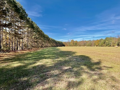 6803 Bowling Green Rd, Durant, MS 39063 - photo 6