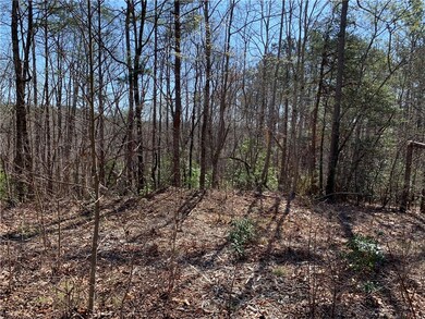 00 Ridge Rd, Tamassee, SC 29686 - photo 3