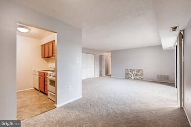 9 Windblown Ct unit 202, Baltimore, MD 21209 - photo 5