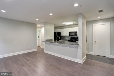 2702 Snowbird Terrace unit 4, Silver Spring, MD 20906 - photo 2