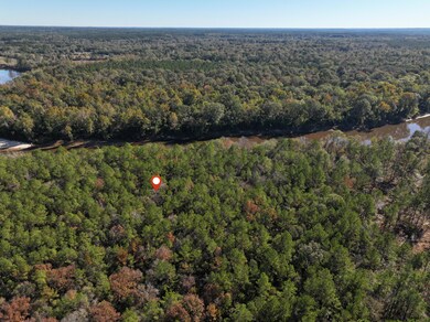 Old_Hwy_24_W_Lot_25-6