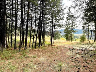 1617 S D 395 Hwy, Chewelah, WA 99109 - photo 2