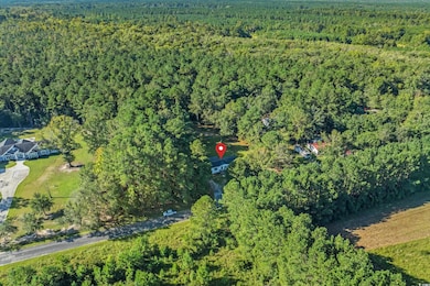 1727 Mineral Springs Rd, Conway, SC 29527 - photo 7