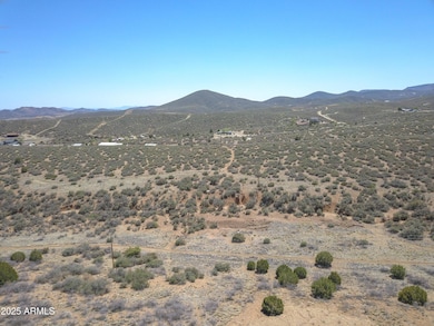 DJI_0145