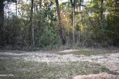 Lot 1 Lakeview Rd, Caryville, FL 32427 - photo 6